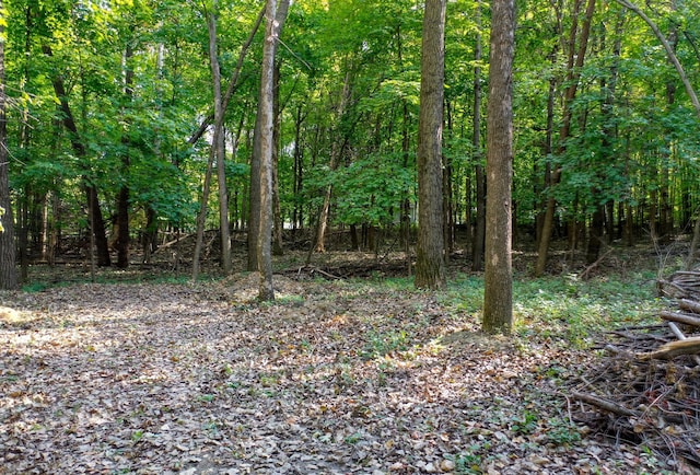 view of landscape