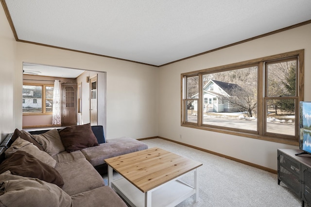 carpeted living room with baseboards, a textured ceiling, and ornamental molding