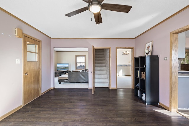 interior space featuring wood finished floors, a ceiling fan, and ornamental molding