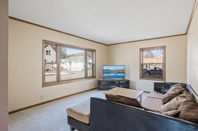 carpeted living room with baseboards, a textured ceiling, and ornamental molding