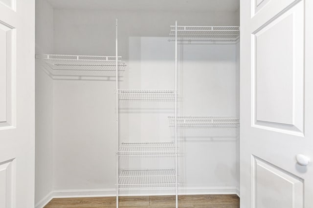 spacious closet featuring hardwood / wood-style flooring