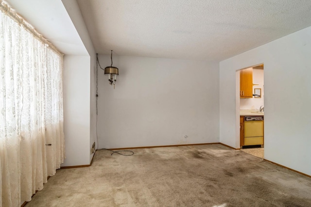 empty room featuring light carpet and a textured ceiling