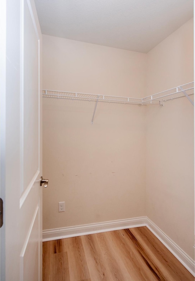 spacious closet with hardwood / wood-style flooring