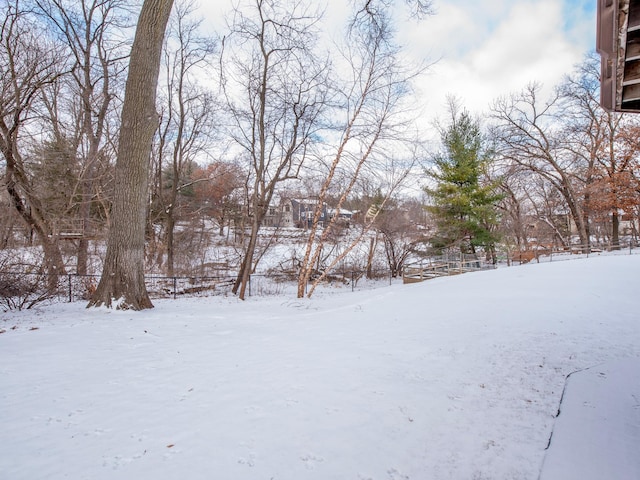 view of yard covered in snow