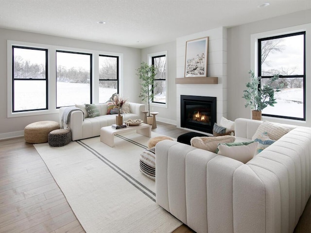 living room with a fireplace, wood finished floors, and baseboards