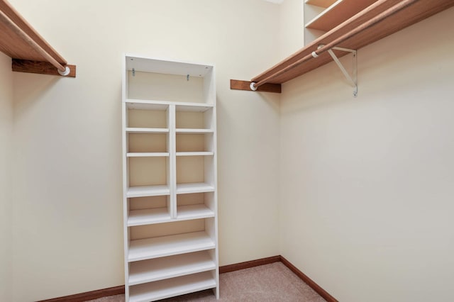 spacious closet featuring carpet floors