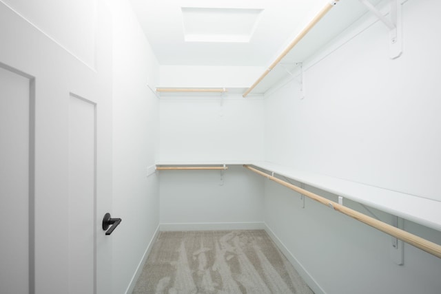 spacious closet featuring light colored carpet