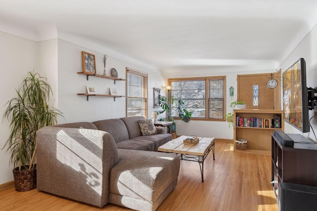 living room with light wood-type flooring