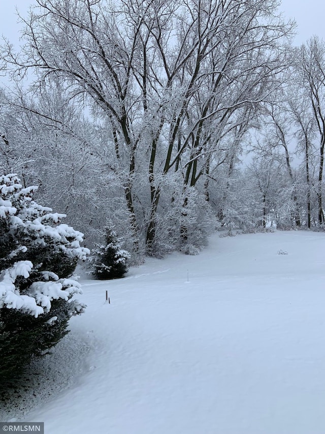 view of snowy yard