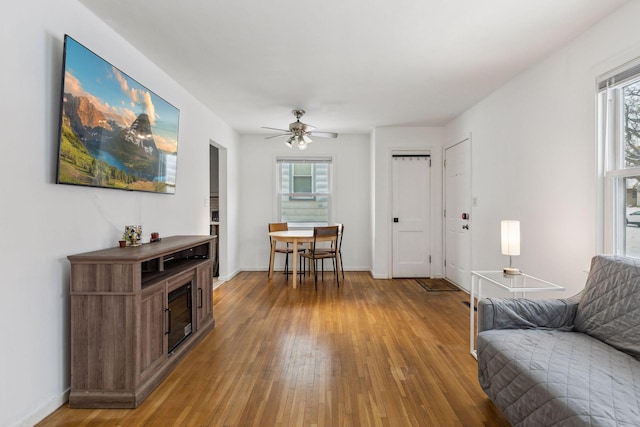 living room featuring ceiling fan and wood-type flooring