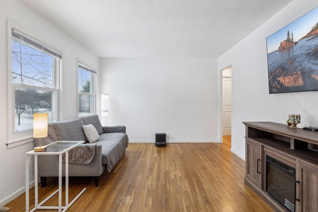 living area with wood-type flooring