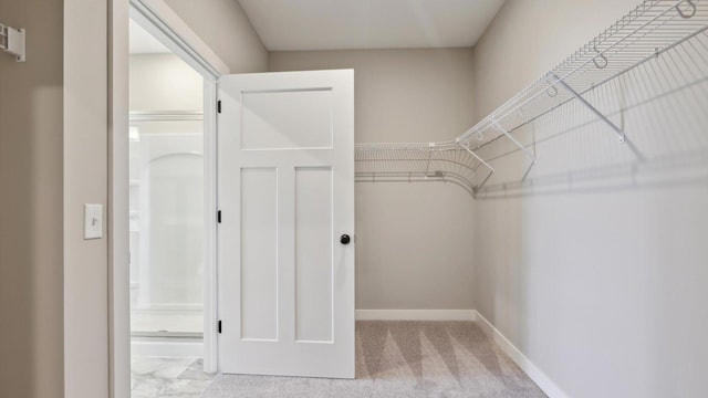 walk in closet with light colored carpet