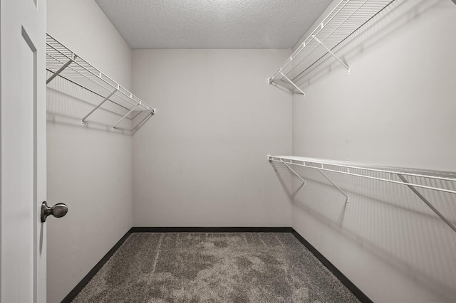 walk in closet featuring dark carpet