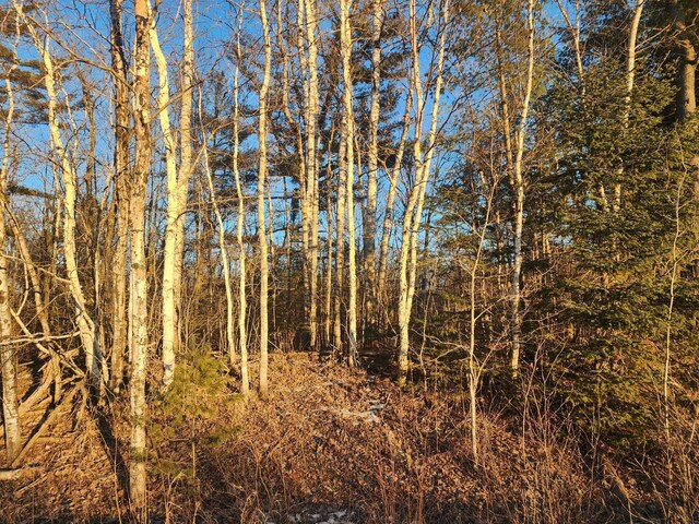 XX Larson Rd, Thomson Twp, MN 55733