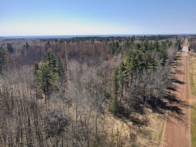 XX Larson Rd, Thomson Twp, MN 55733