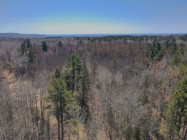 XX Larson Rd, Thomson Twp, MN 55733