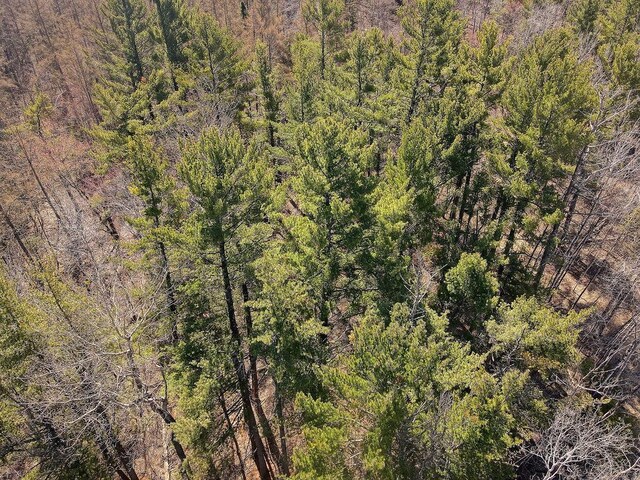 XX Larson Rd, Thomson Twp, MN 55733
