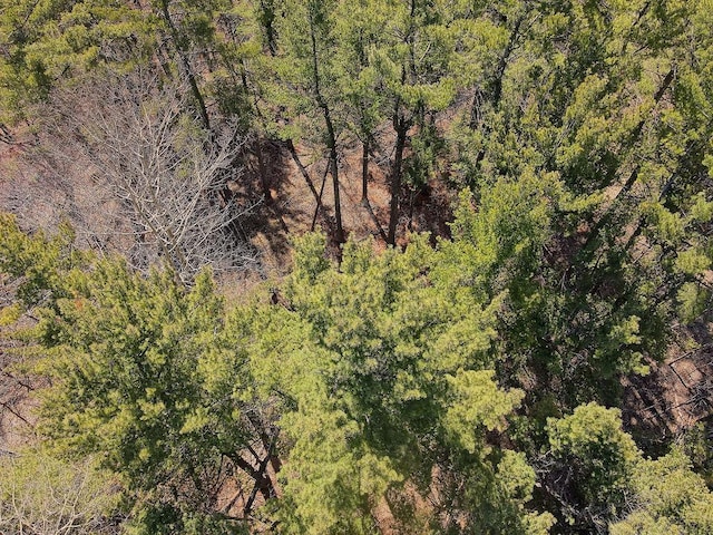 XX Larson Rd, Thomson Twp, MN 55733