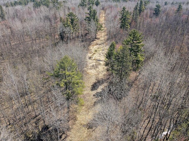 XX Larson Rd, Thomson Twp, MN 55733