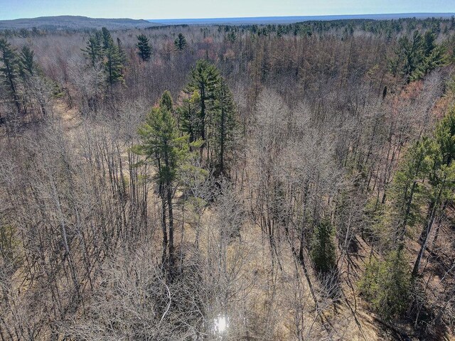 XX Larson Rd, Thomson Twp, MN 55733