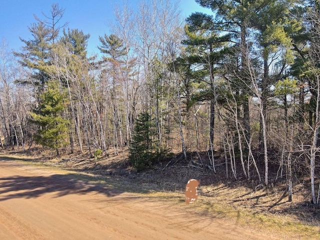 XX Larson Rd, Thomson Twp, MN 55733