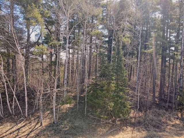 XX Larson Rd, Thomson Twp, MN 55733