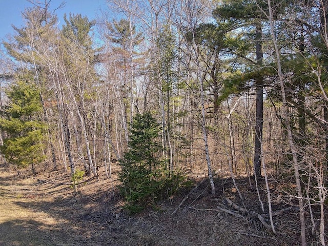XX Larson Rd, Thomson Twp, MN 55733