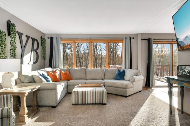 carpeted living room with ornamental molding