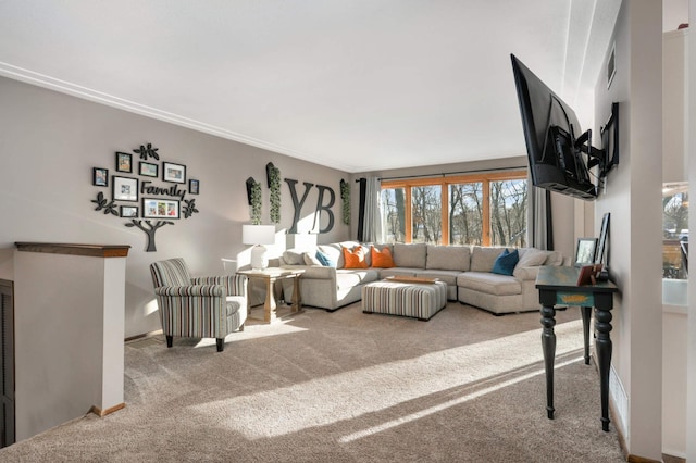 living room with crown molding and carpet flooring