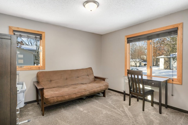 sitting room with a textured ceiling and light carpet