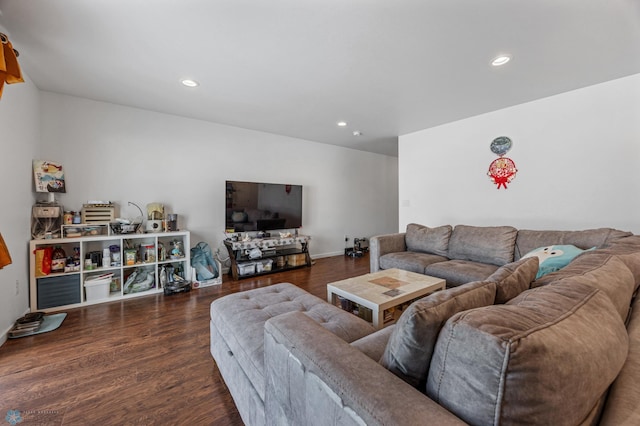 living room featuring dark hardwood / wood-style flooring