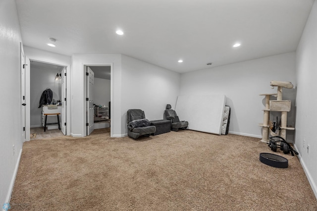 sitting room with carpet flooring