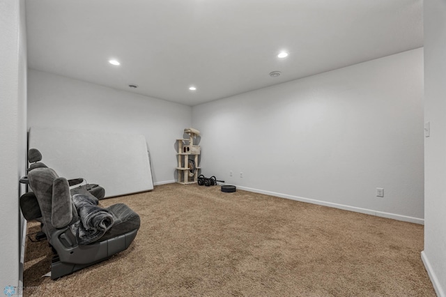 sitting room with carpet floors