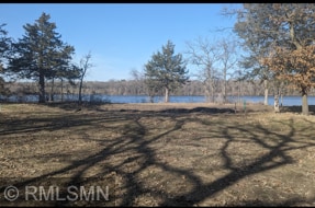 Listing photo 2 for 101 Goldfinch Ln, Clearwater MN 55320