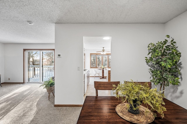 carpeted dining space with ceiling fan and a textured ceiling