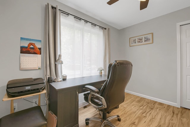 office featuring ceiling fan and light hardwood / wood-style flooring