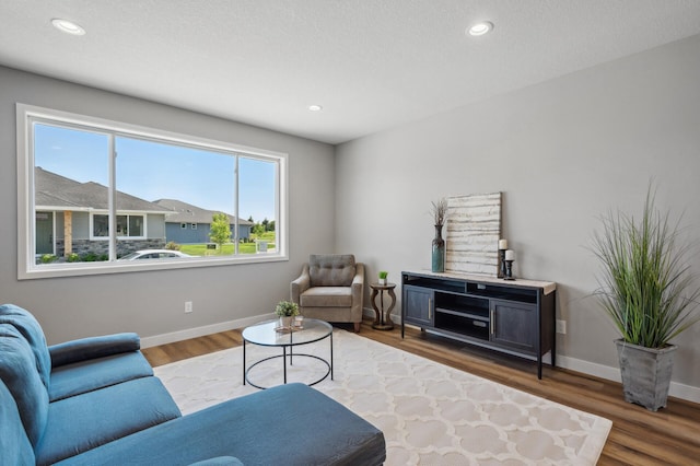 living room featuring hardwood / wood-style floors and a textured ceiling