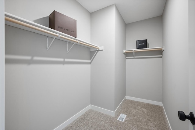 walk in closet with carpet floors