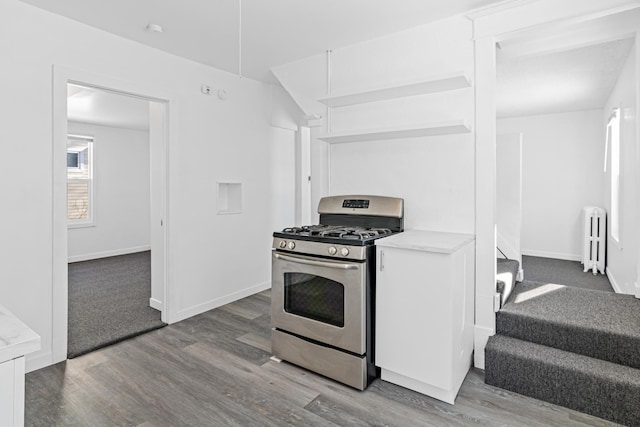 kitchen with radiator, stainless steel gas stove, and hardwood / wood-style floors