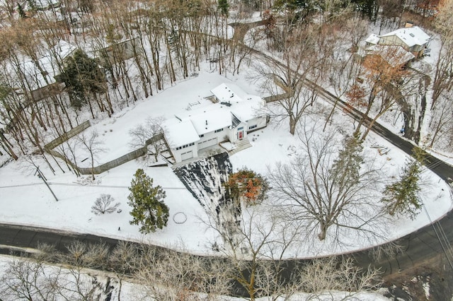 view of snowy aerial view