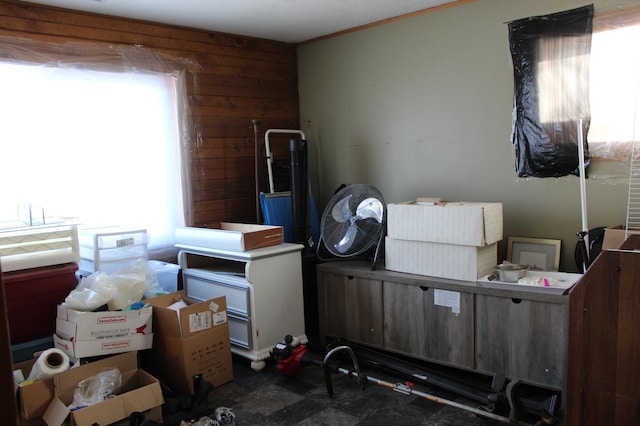 miscellaneous room with plenty of natural light and wooden walls