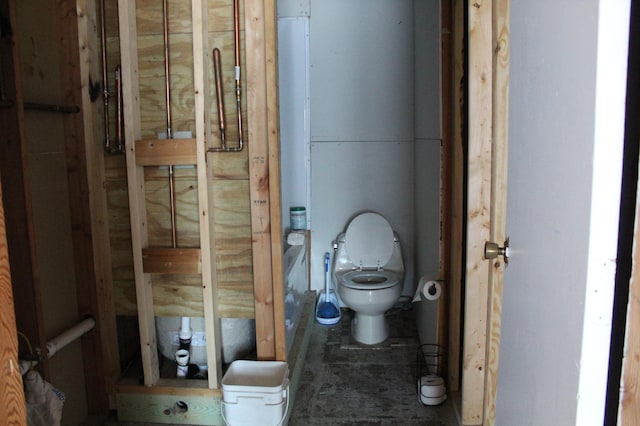 bathroom with toilet