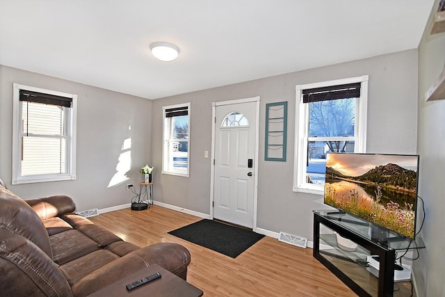 foyer featuring a healthy amount of sunlight and hardwood / wood-style flooring