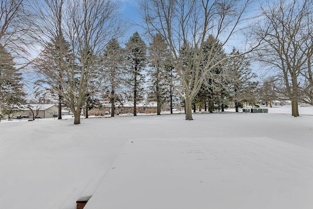 view of snowy yard