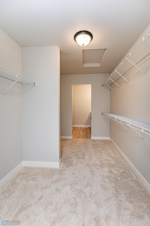 spacious closet featuring light colored carpet