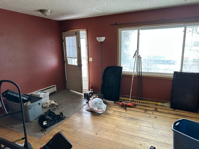 foyer featuring hardwood / wood-style flooring, a textured ceiling, and plenty of natural light