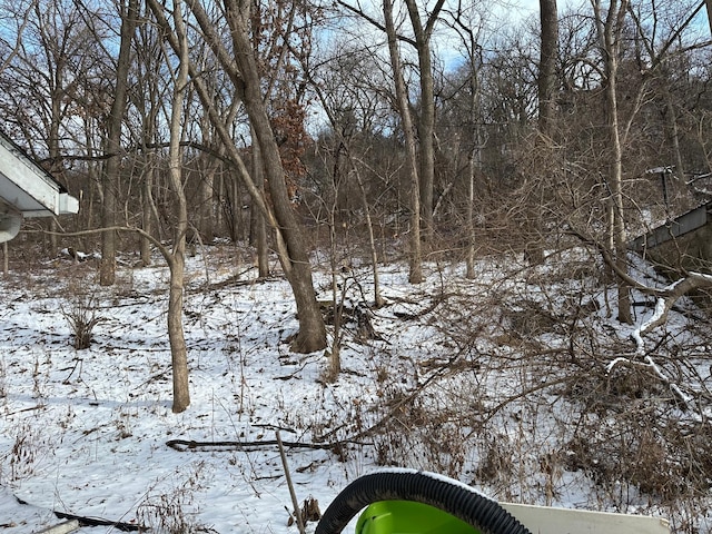 view of snow covered land