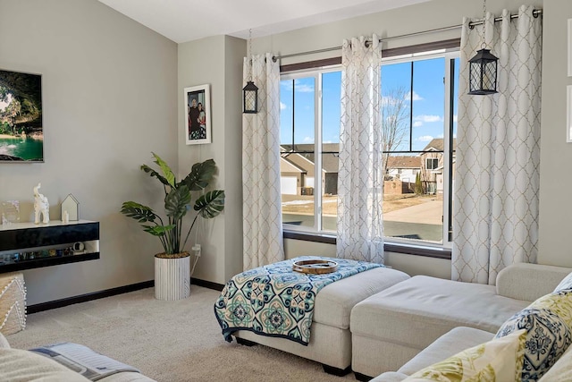 carpeted bedroom with multiple windows