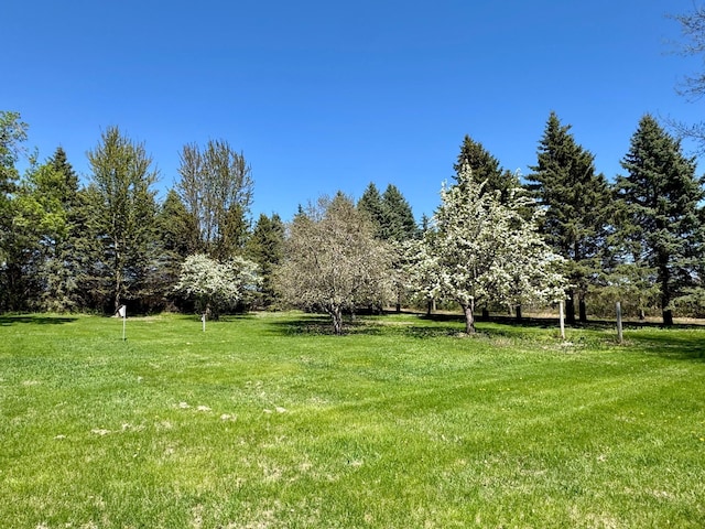 12326 Falk Trl, Northfield, MN 55057 - view of grassy yard