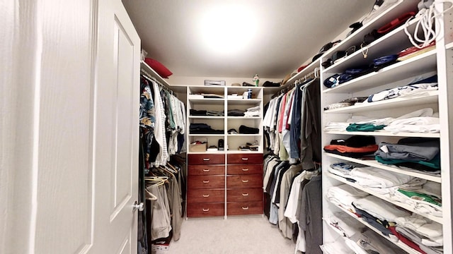 12326 Falk Trl, Northfield, MN 55057 - spacious closet with light carpet